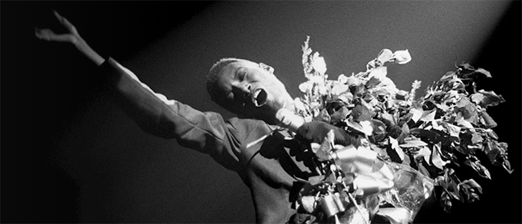 From opera stars to pop icons, celebrate the power and creativity of the diva