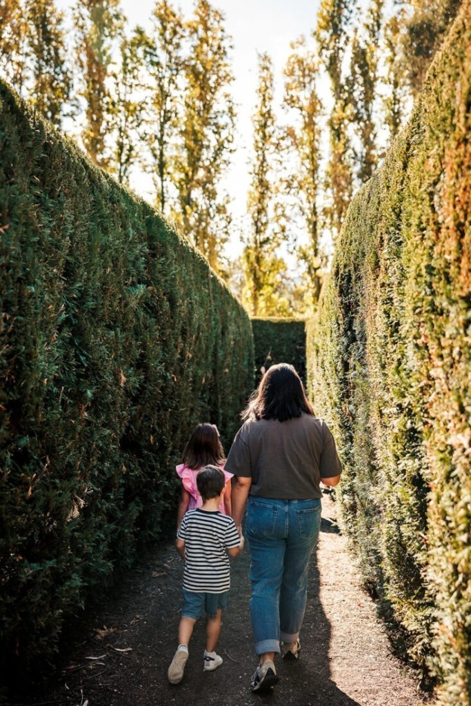 Q MAGAZINE MEDIA-Travel smart this Easter-IAHCT King Valley of websize x